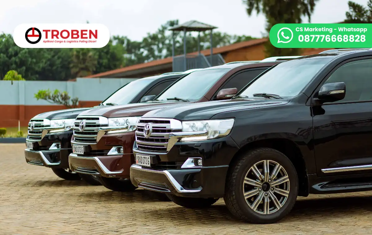 Melirik Bisnis Mobil Listrik Bekas, Potensi Sukses Raih Untung Besar!