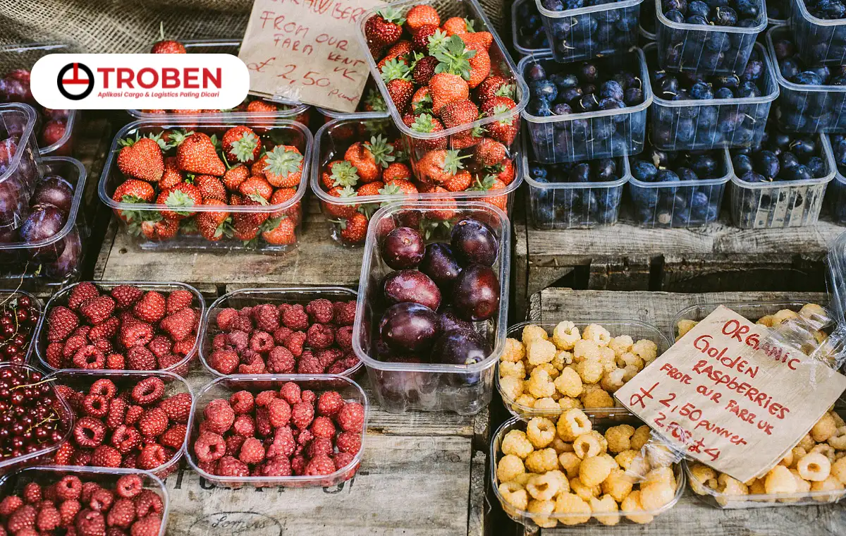 Begini Cara Kirim Paket Buah Agar Tidak Busuk di Perjalanan, Anti Rugi!