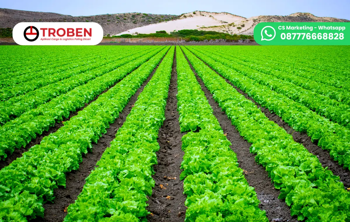 Ekspedisi Hasil Bumi Termurah dan Terpercaya Hanya di Troben