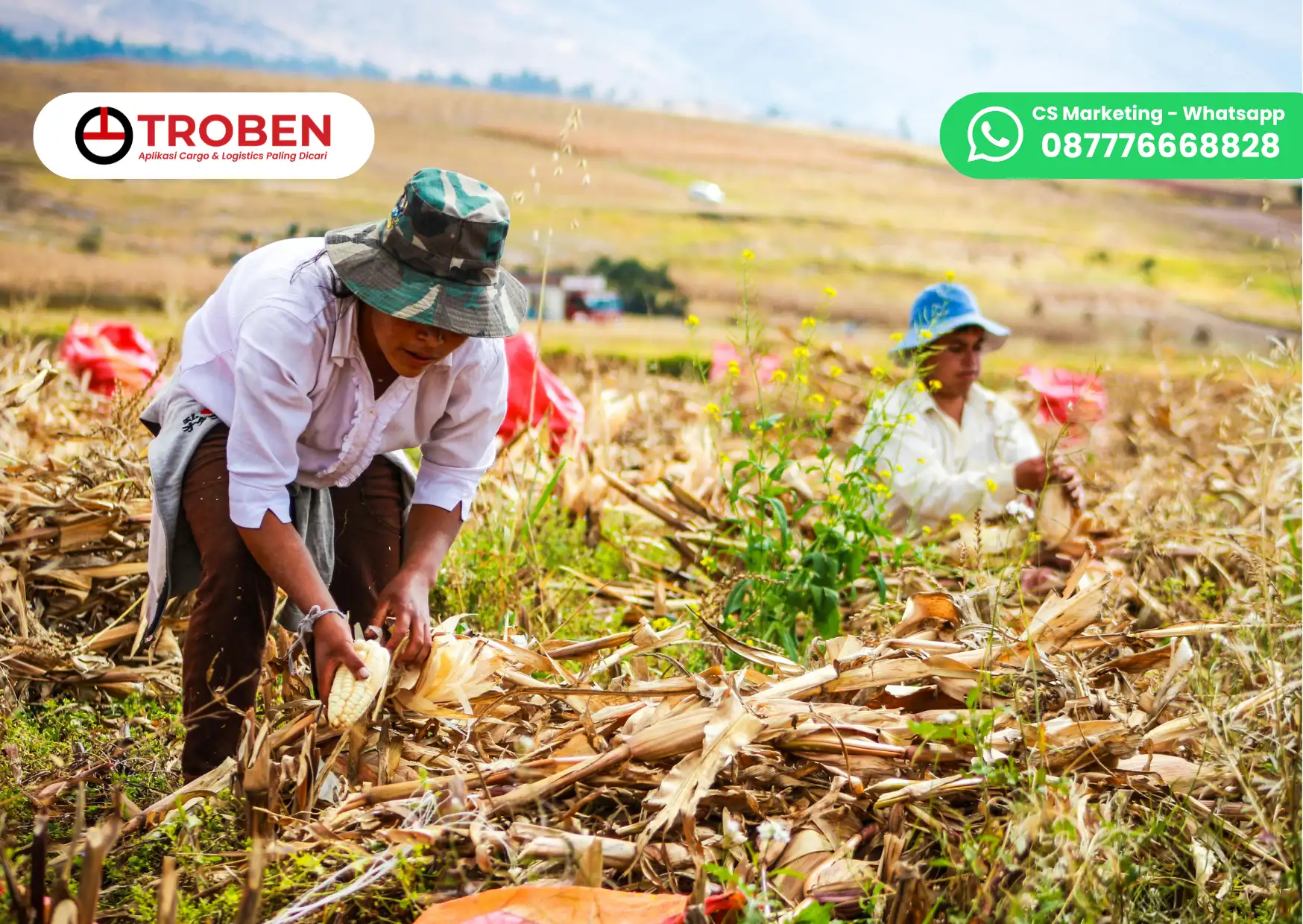 Jasa Distribusi Pertanian Ke Seluruh Indonesia Aman dan Murah