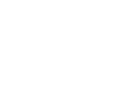 Msc