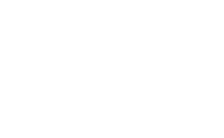 Xfel